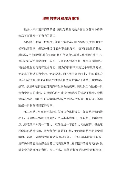 狗狗的禁忌和注意事项