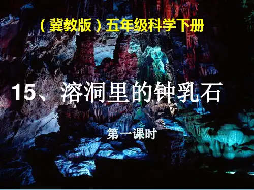 最新冀教版五年级科学下册《溶洞里的钟乳石》第1课时精品课件