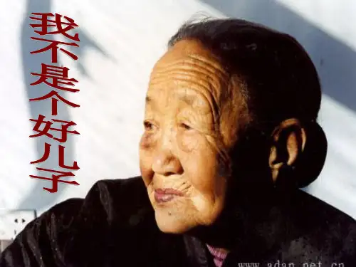我不是个好儿子优秀课件新