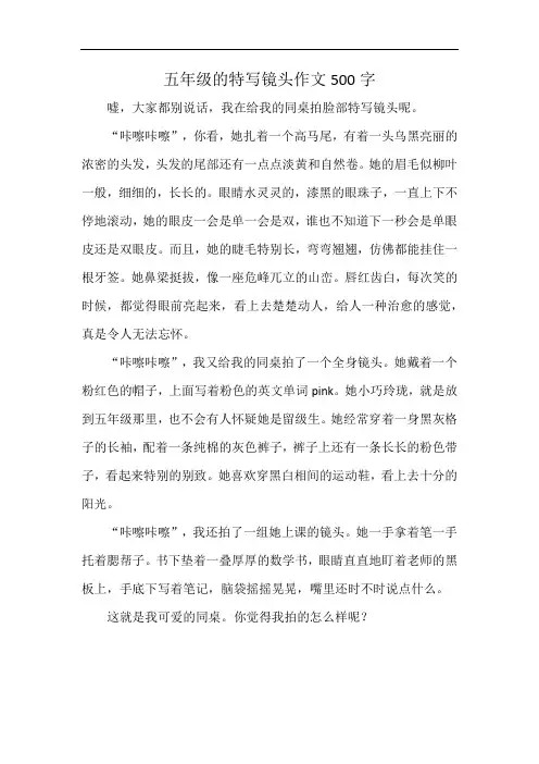 五年级的特写镜头作文500字