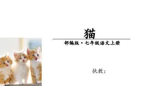 第16课《猫》课件(共18张PPT)2023—2024学年统编版语文七年级上册
