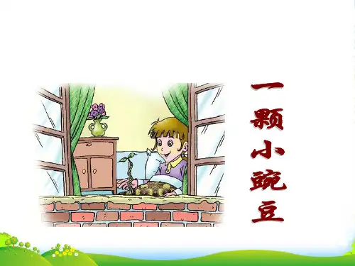 五年级语文上册 一颗小豌豆 2课件 沪教版