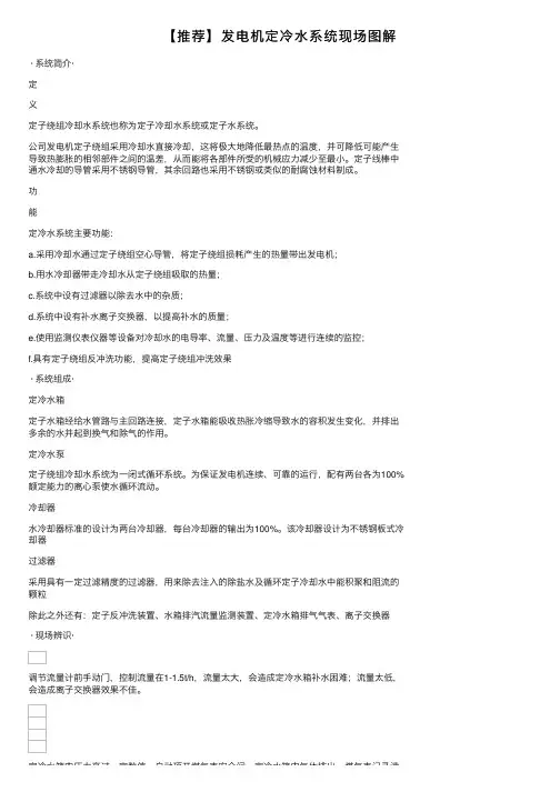 【推荐】发电机定冷水系统现场图解