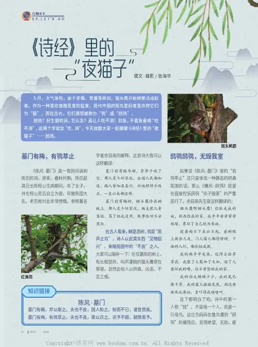 《诗经》里的“夜猫子”