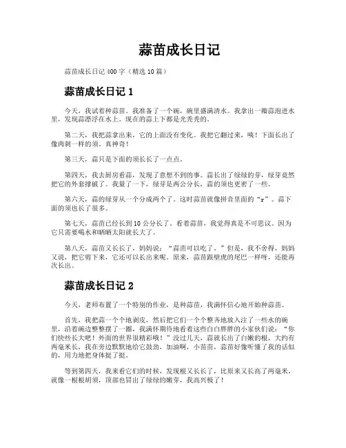 蒜苗成长日记