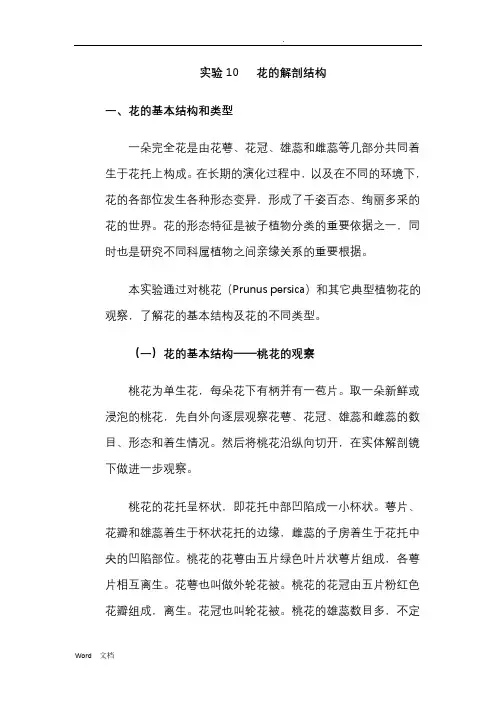 花的解剖结构