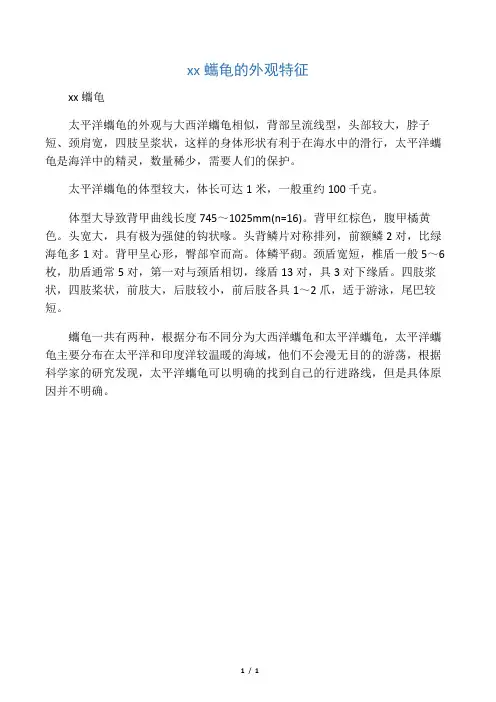 太平洋P龟的外观特征