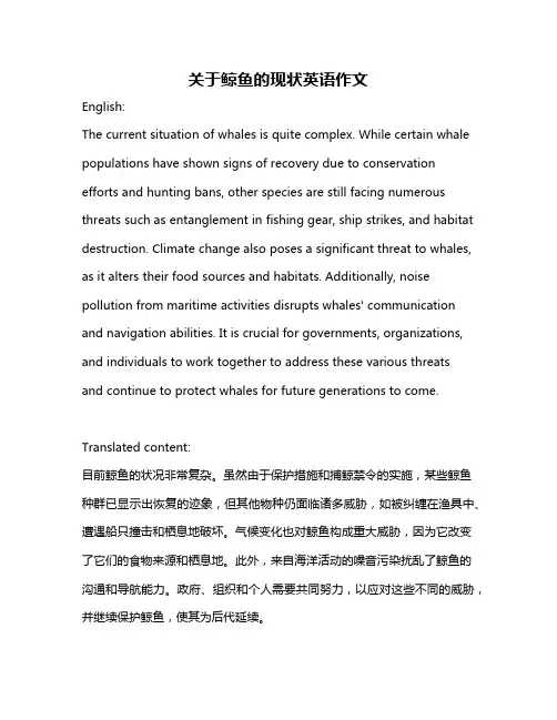 关于鲸鱼的现状英语作文