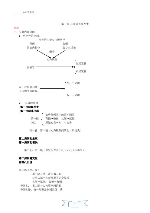 临床心血管系统知识点整理(仅供参考)