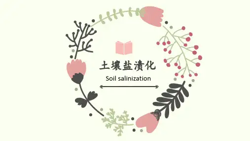 土壤盐渍化