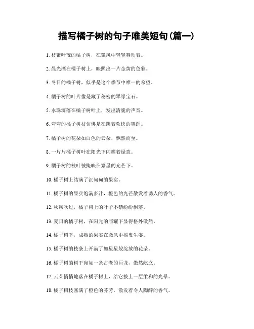 描写橘子树的句子唯美短句(精选2篇)