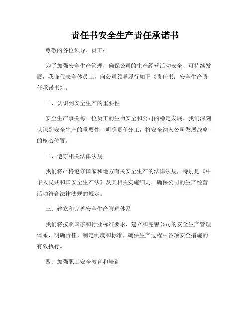 责任书安全生产责任承诺书