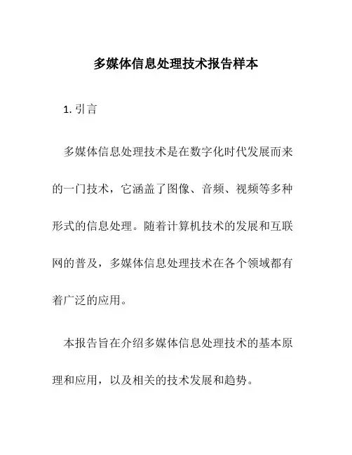 多媒体信息处理技术报告样本