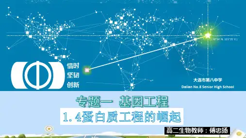 人教版生物选修3专题1、4《蛋白质工程的崛起》名师课件(共17张PPT)