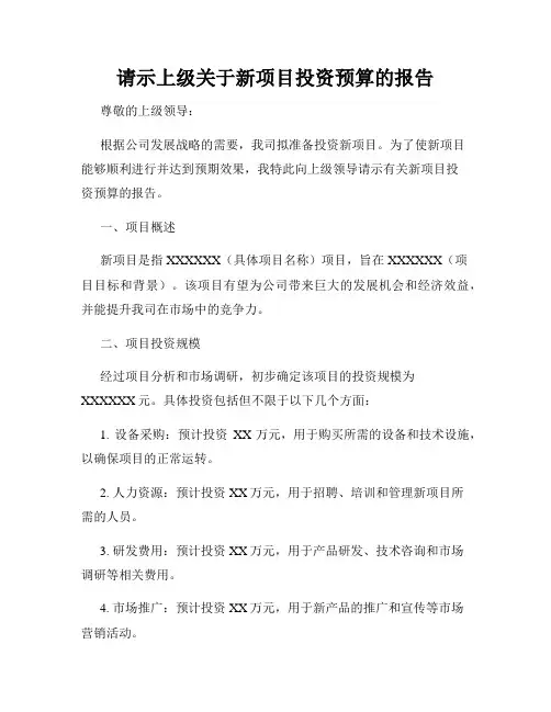 请示上级关于新项目投资预算的报告