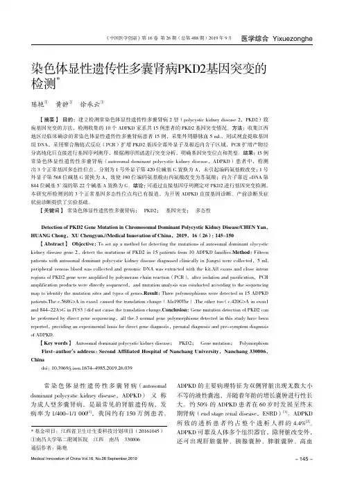 染色体显性遗传性多囊肾病PKD2基因突变的检测