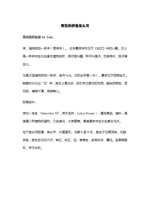 荷花的拼音怎么写