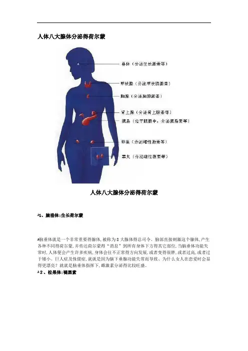人体八大腺体分泌的荷尔蒙