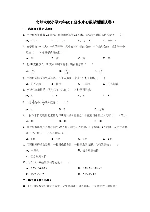 北师大版小学数学六年级下册小升初试卷附答案(共5套)