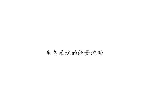生态系统的能量流动课件