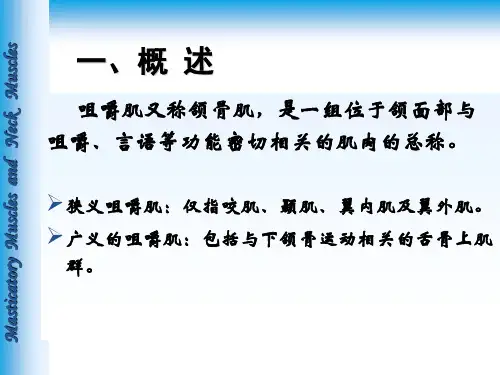 口腔医学:口颌面颈部肌-第3-5节咀嚼肌、颈部肌、口颌系统肌链