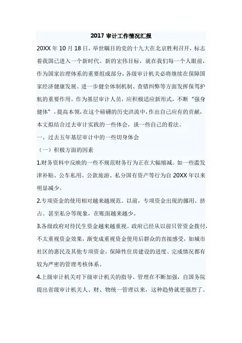 2017审计工作情况汇报