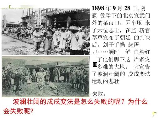 高中历史选修1ppt：《戊戌政变》