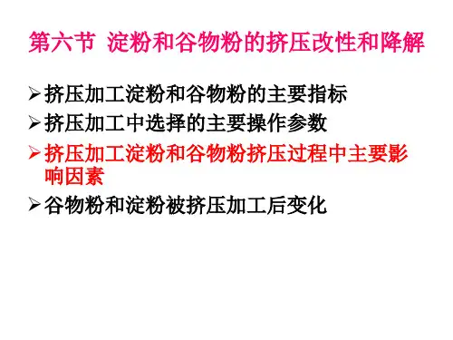 膨化课件(修改后)2