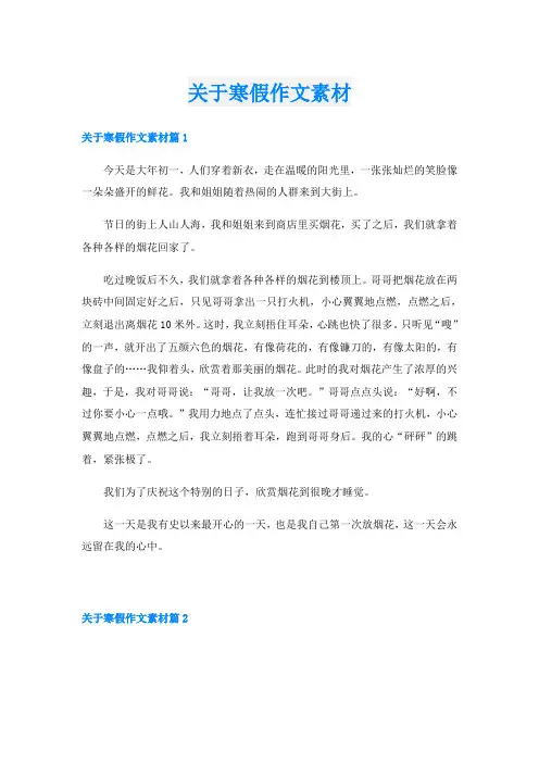 关于寒假作文素材