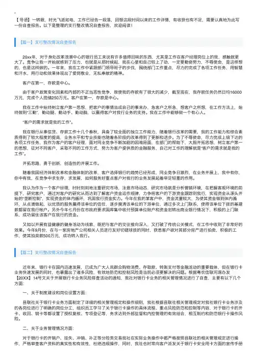 支行整改情况自查报告