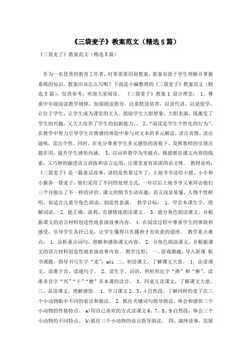 《三袋麦子》教案范文(精选5篇)