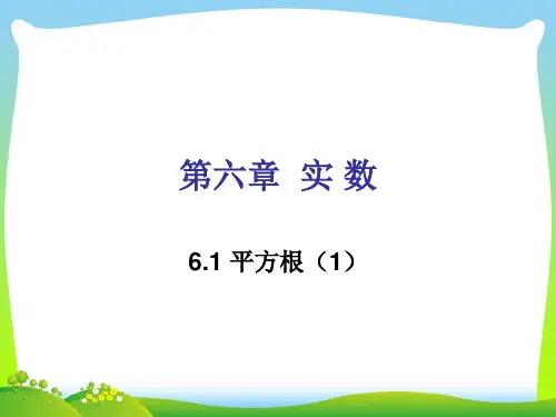 【新】人教版七年级数学下册第六章《平方根(1)》公开课课件.ppt