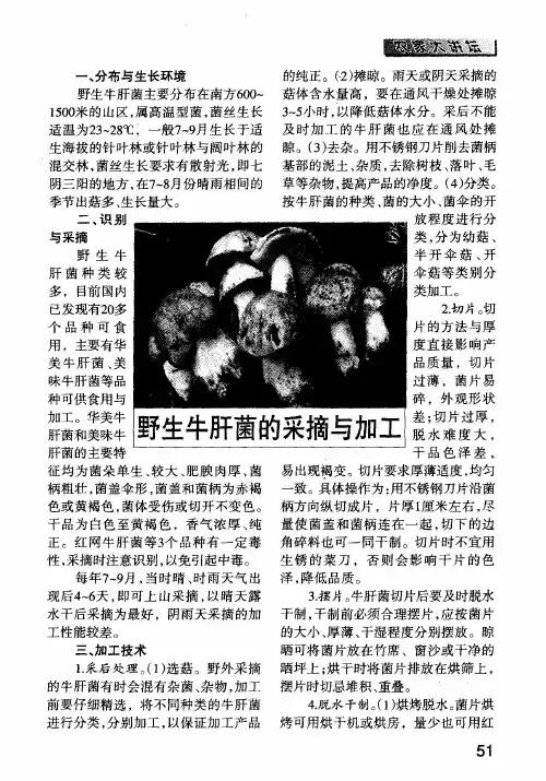 野生牛肝菌的采摘与加工