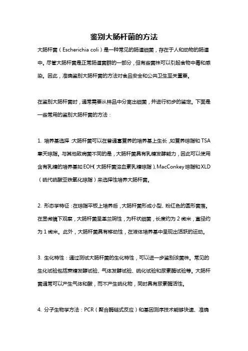 鉴别大肠杆菌的方法