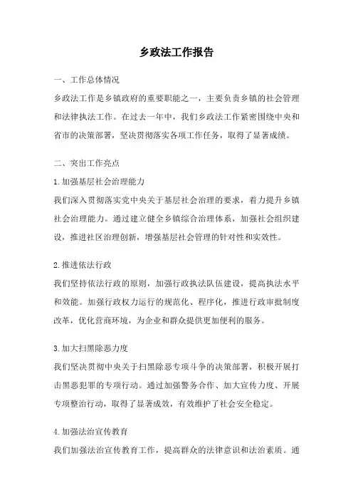 乡政法工作报告