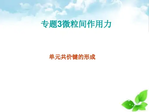 共价键的形成PPT课件(上课用)2