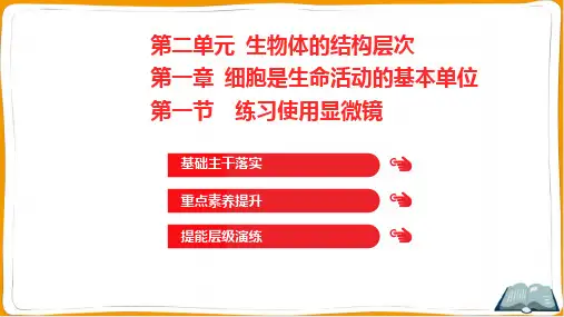 人教版七年级上册生物第二单元生物体的结构层次第一章细胞是生命活动的基本单位第一节练习使用显微镜