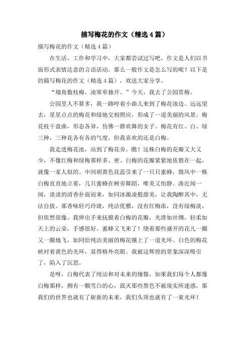 描写梅花的作文(4篇)