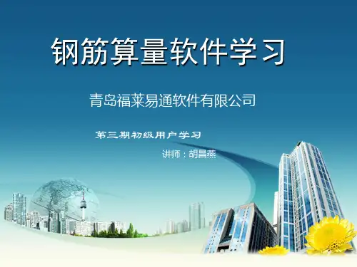 福莱钢筋教学
