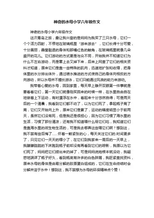 神奇的水母小学六年级作文