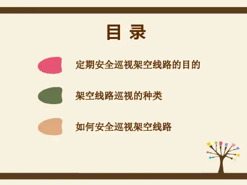 如何安全巡视架空线路PPT34页课件