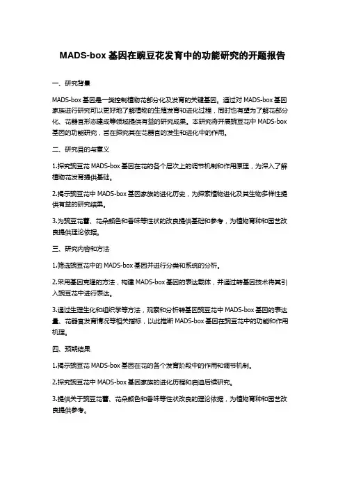 MADS-box基因在豌豆花发育中的功能研究的开题报告