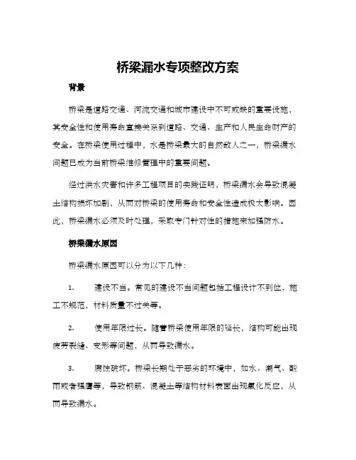 桥梁漏水专项整改方案