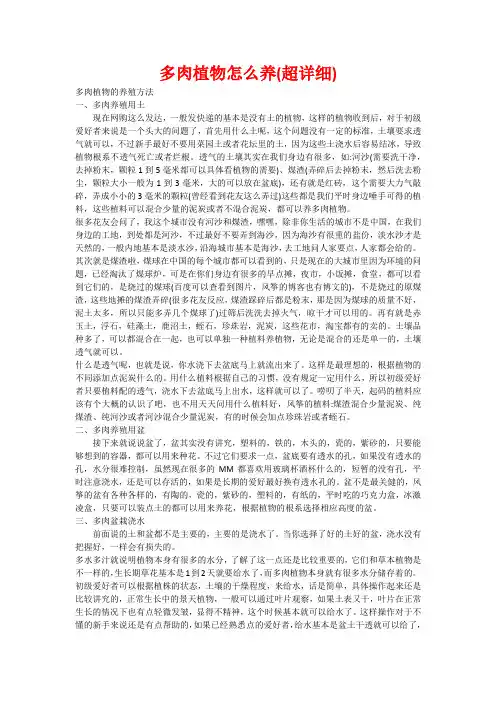 多肉植物怎么养(超详细)