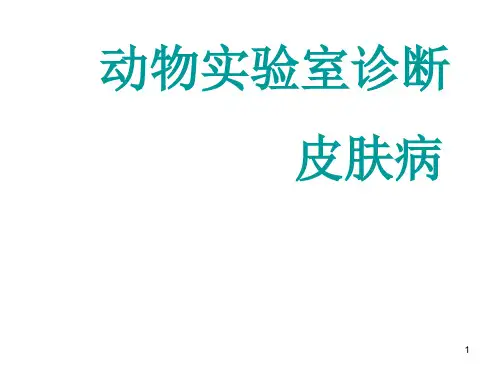 动物实验室诊断皮肤病检查