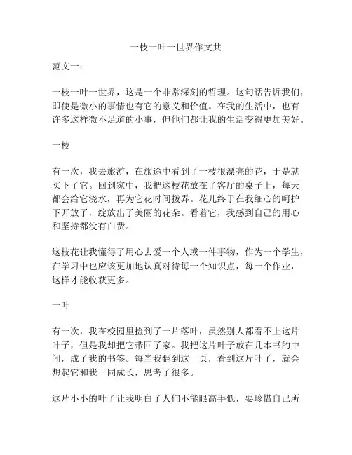 一枝一叶一世界作文共
