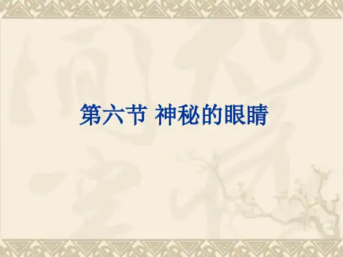 教科版八上物理 神奇的眼睛 课件