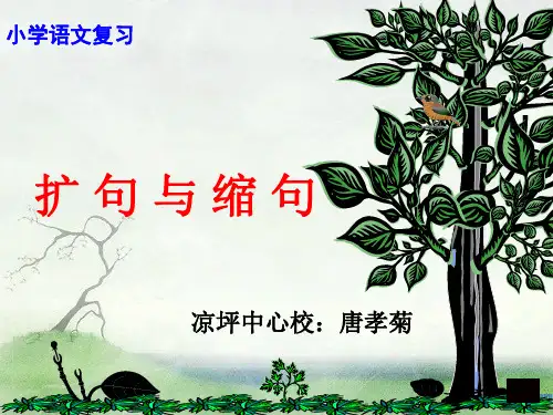 语文人教版六年级下册扩句与缩句
