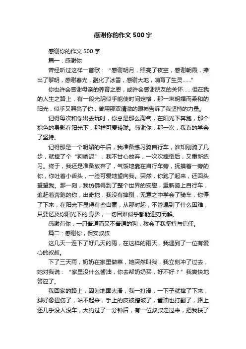 感谢你的作文500字
