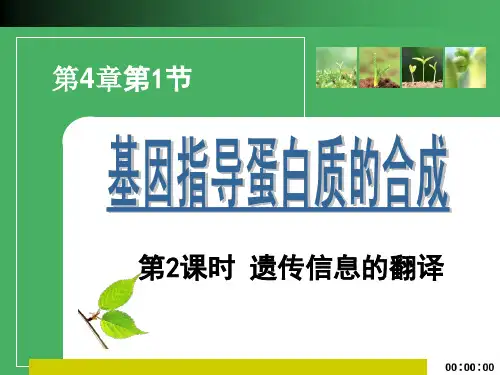遗传信息的翻译 课件